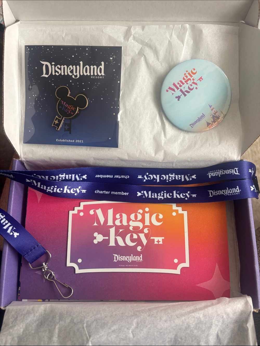 Disneyland Magic Key Lanyard & Pin& Button & Magnet Set - Purple and Gradient